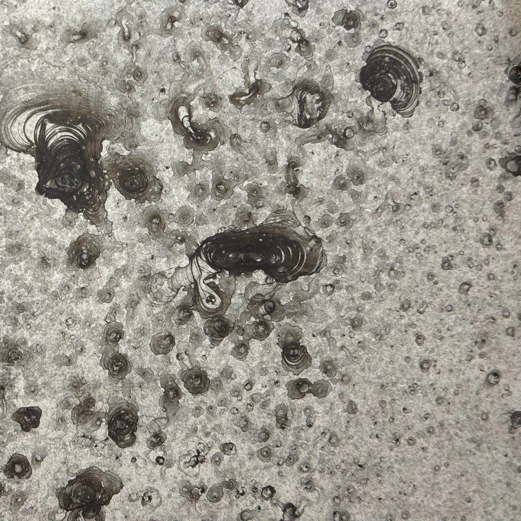 Lichen on Clear Sample
