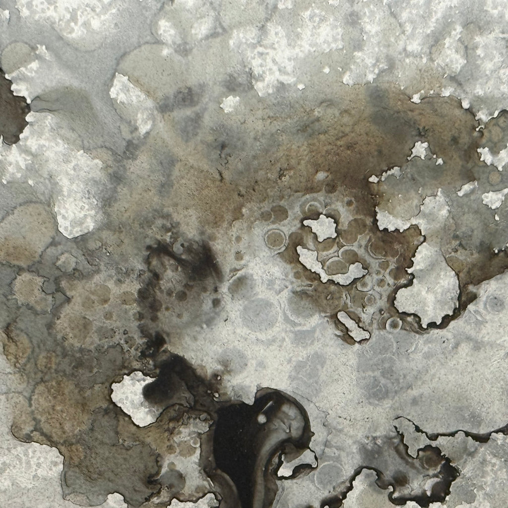 Lichen on Clear Sample