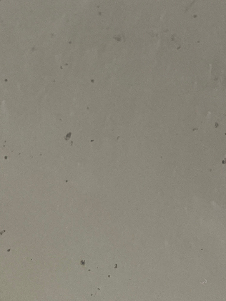 Foxed on Grey Sample