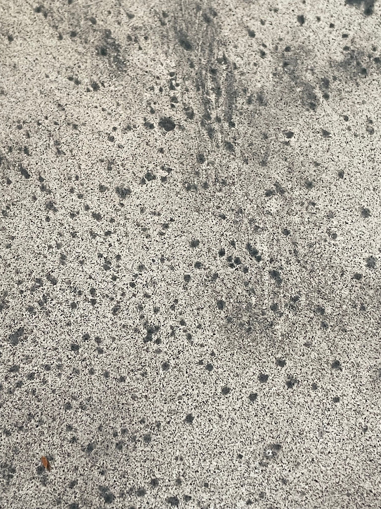 Heavily Oxidised Sample
