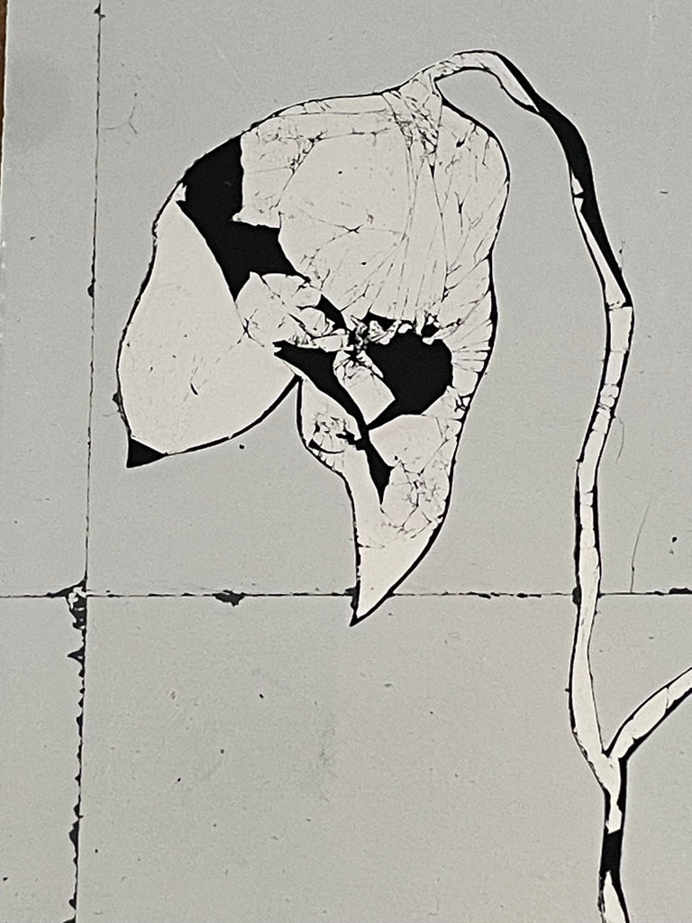 Trailing Leaf Sample