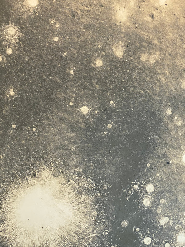 Cloud Sample