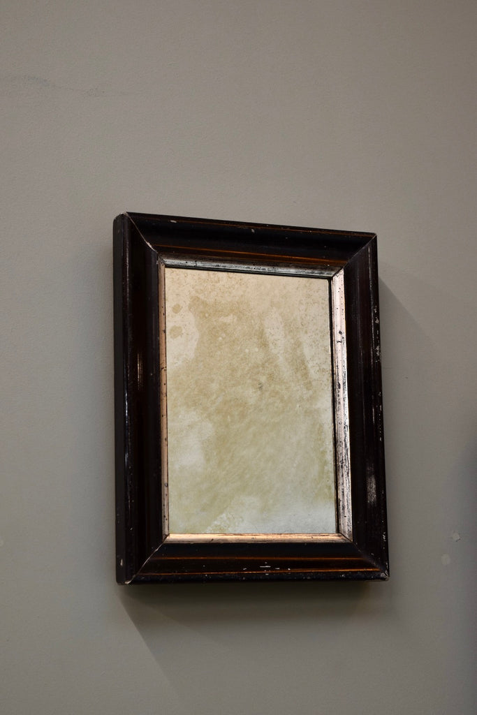 Pair of English Ebonised Mirrors