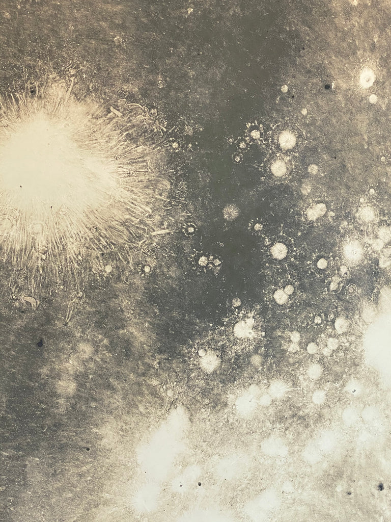 Cloud Sample