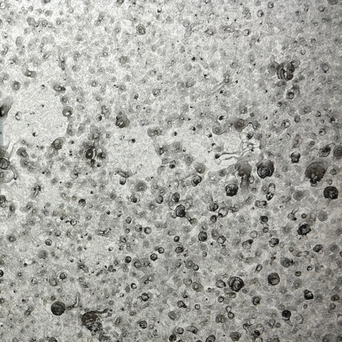 Lichen antiqued mirror on clear glass: handmade finish with dark ringed spots across a soft silver ground