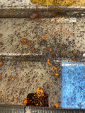 Copper Swathe Finish