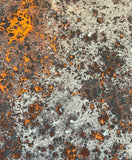 Copper Swathe Finish