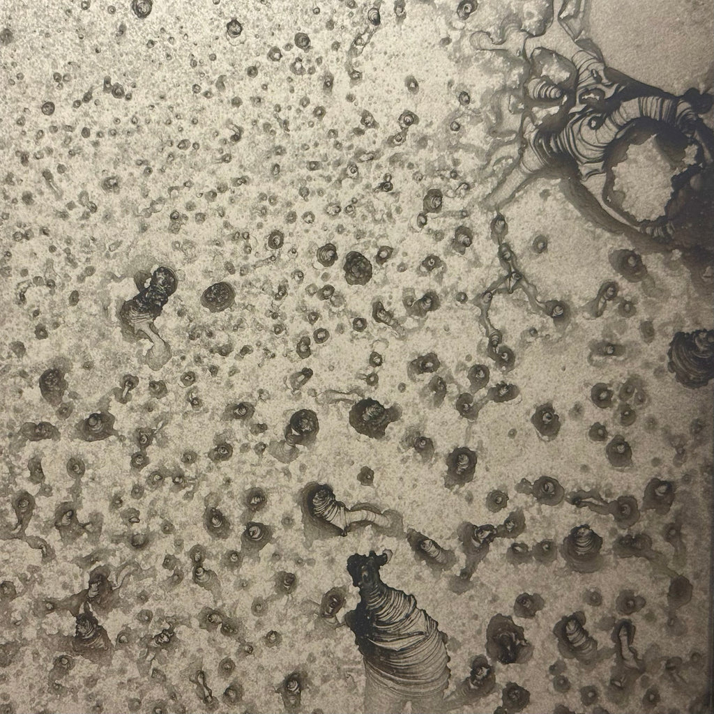 Lichen on Bronze Sample