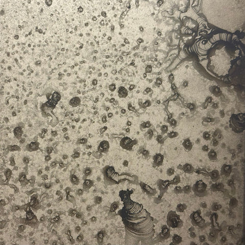 Lichen antiqued mirror on bronze tinted glass: warm champagne silver with dark ringed blooms and trailing veins