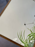 Clean Silver on Clear Sample