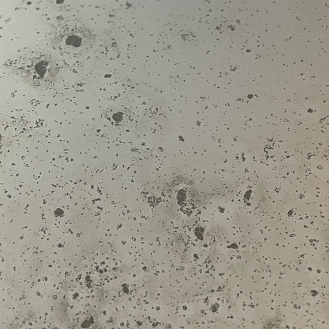 Vintage with Gold Backing Paint Antiqued Mirror Finish