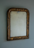 French Wood Grain Painted Mirror